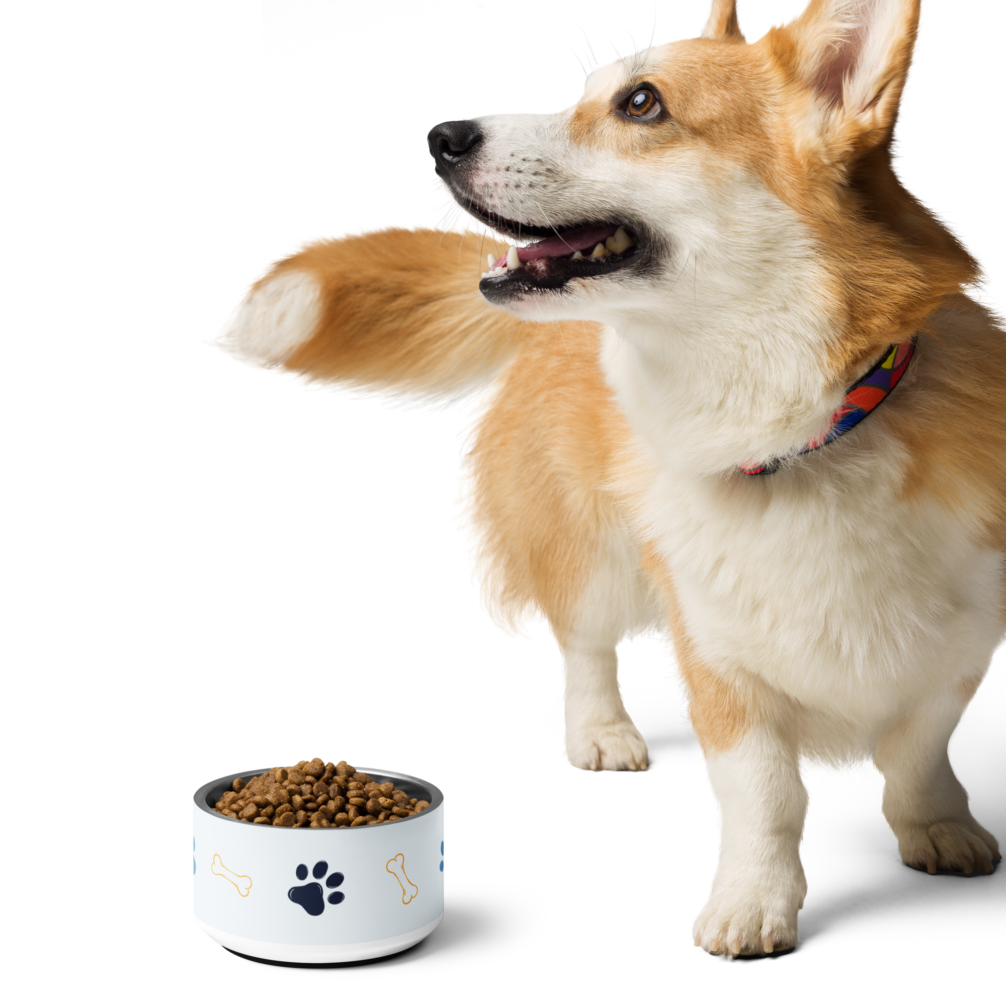 Heroes For Dogs 18 oz Puppy Bowl - Light Blue