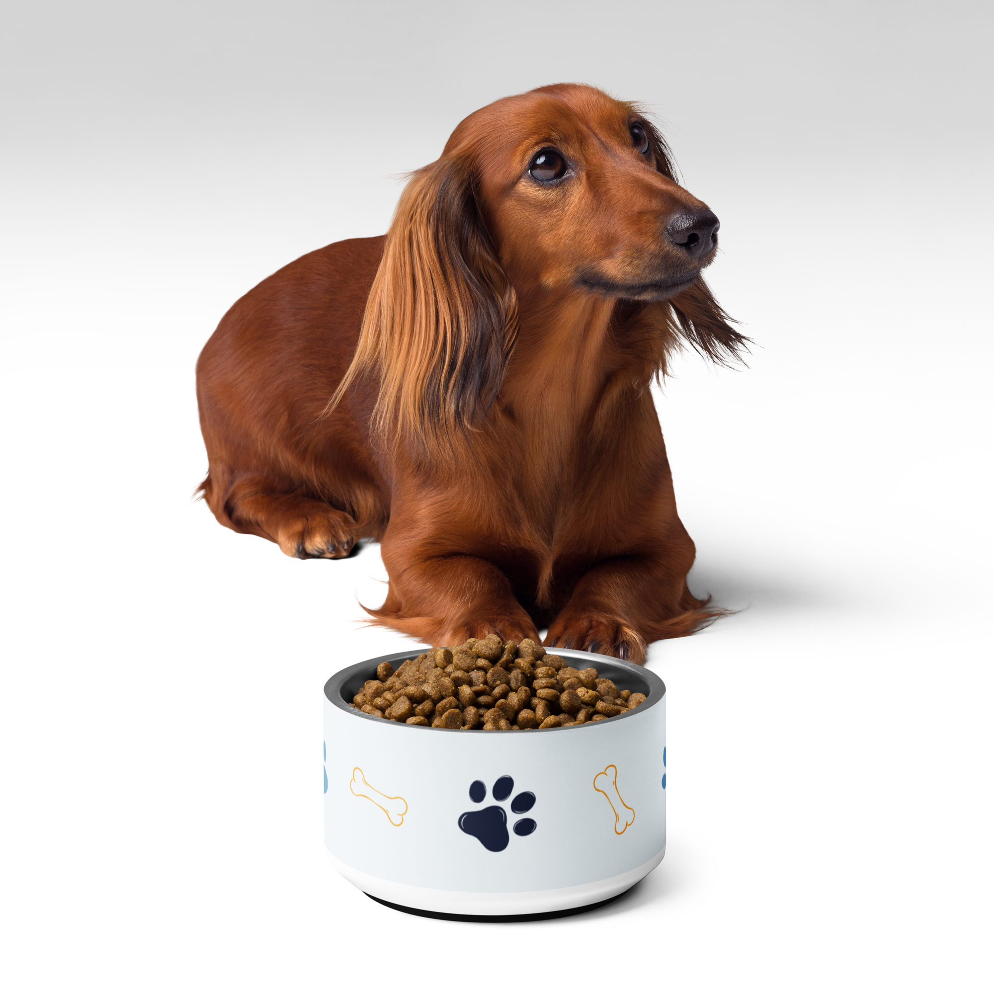 Heroes For Dogs 18 oz Puppy Bowl - White